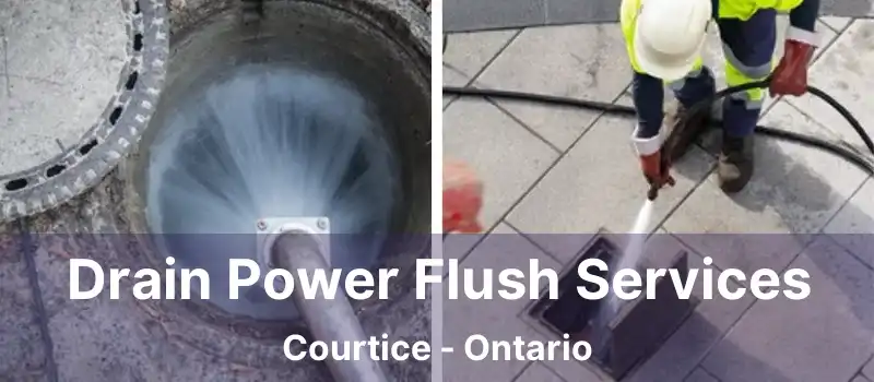  Drain Power Flush Services Courtice - Ontario